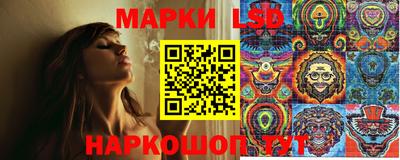 спиды Бердск