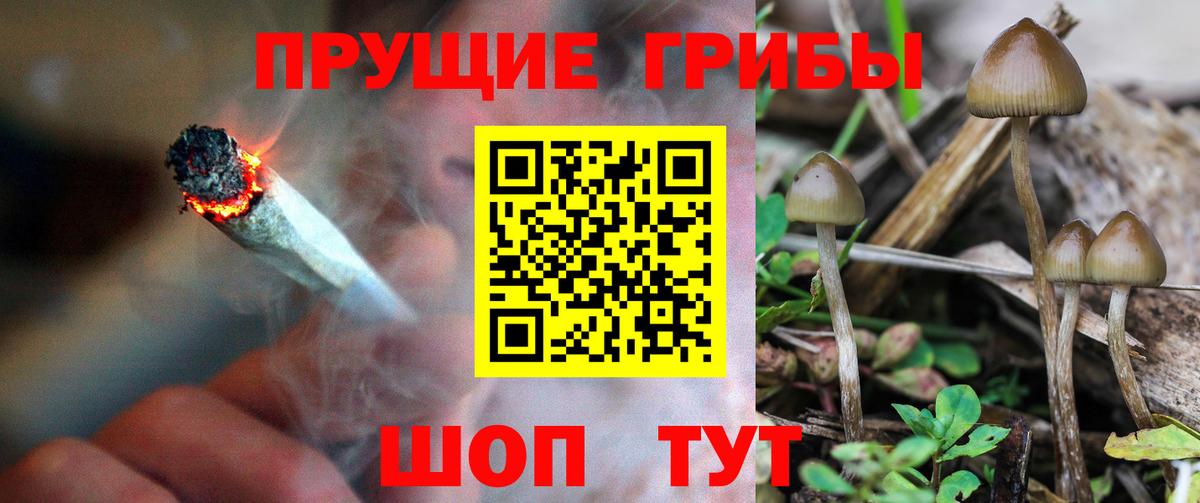 Галлюциногенные грибы мицелий  Галлюциногенные грибы Cubensis  Ессентуки  Вход с VPN 