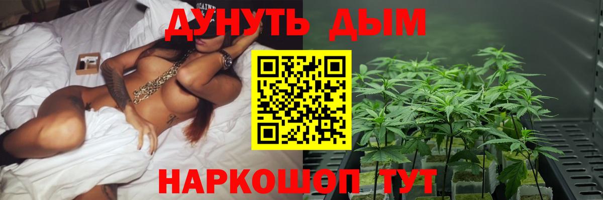 Каннабис планчик  Вход с VPN  Бошки Шишки SATIVA & INDICA  Шишки марихуана Bruce Banner  Шишки марихуана AK-47  Ессентуки 